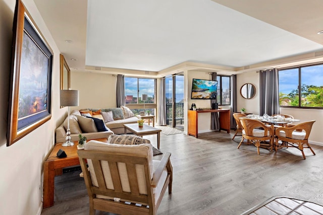 living room featuring wood-type flooring