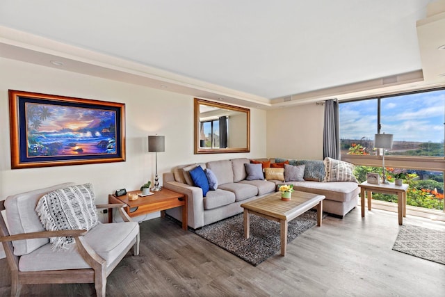 living room with a healthy amount of sunlight and hardwood / wood-style floors