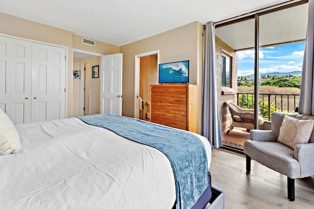 bedroom featuring access to exterior, light hardwood / wood-style flooring, and a closet