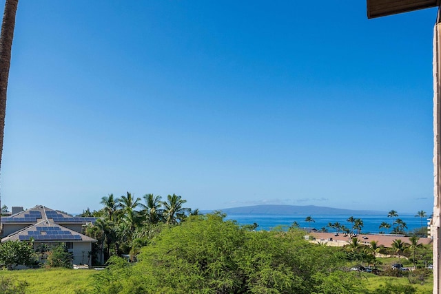 property view of water featuring a mountain view