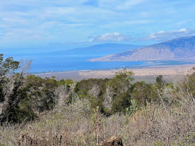 0 Kamehameiki Rd Unit C-1, Kula, HI 96790