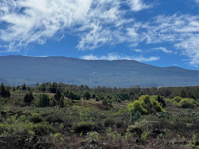 0 Kamehameiki Rd Unit C-1, Kula, HI 96790