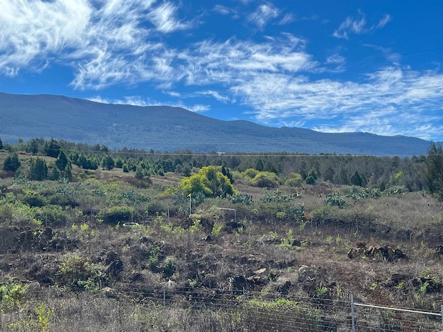 0 Kamehameiki Rd Unit C-1, Kula, HI 96790