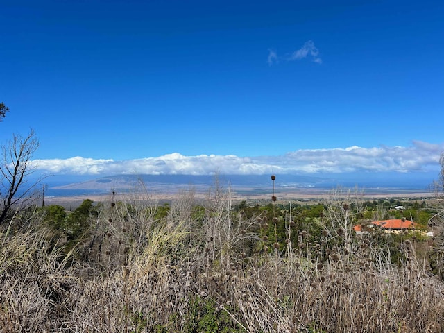 0 Kamehameiki Rd Unit C-1, Kula, HI 96790