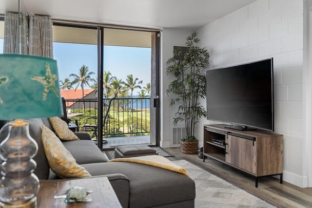 living room with floor to ceiling windows and wood-type flooring