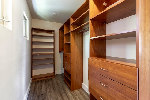 walk in closet featuring dark hardwood / wood-style flooring