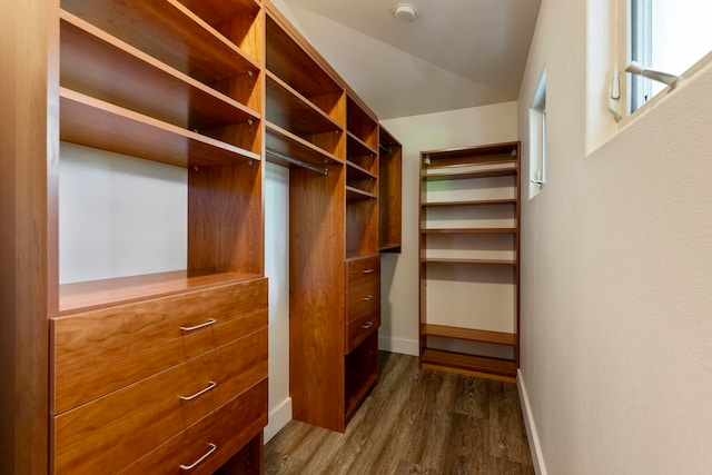 spacious closet featuring dark hardwood / wood-style flooring