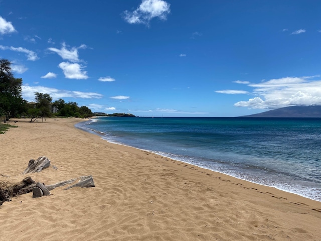 water view featuring a view of the beach