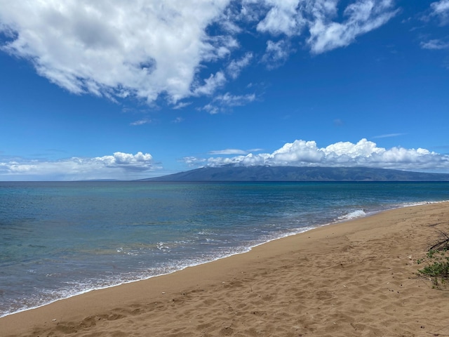 property view of water with a beach view