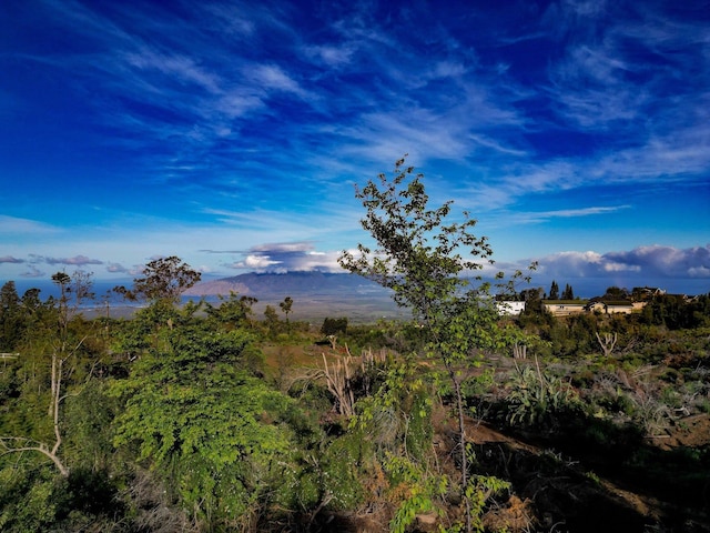 0 Haleakala Hwy Unit B, Kula, HI 96790