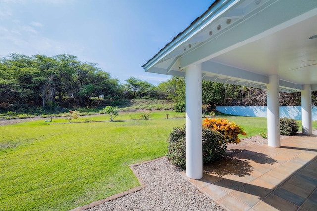 view of yard featuring a patio