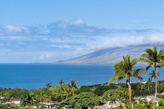 water view with a mountain view