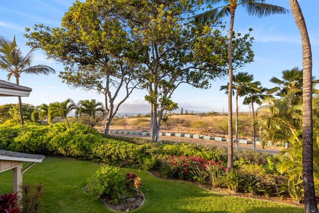 view of home's community featuring a yard