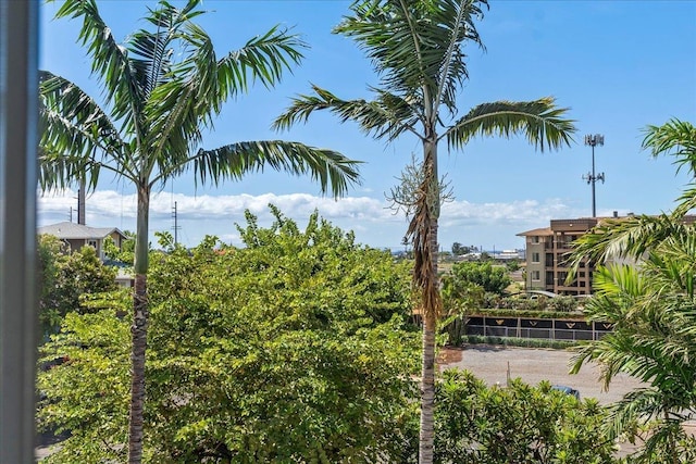 31 E Kuu Aku Ln Unit 206, Lahaina, HI 96761 - water view