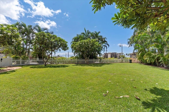 31 E Kuu Aku Ln Unit 206, Lahaina, HI 96761 - view of yard