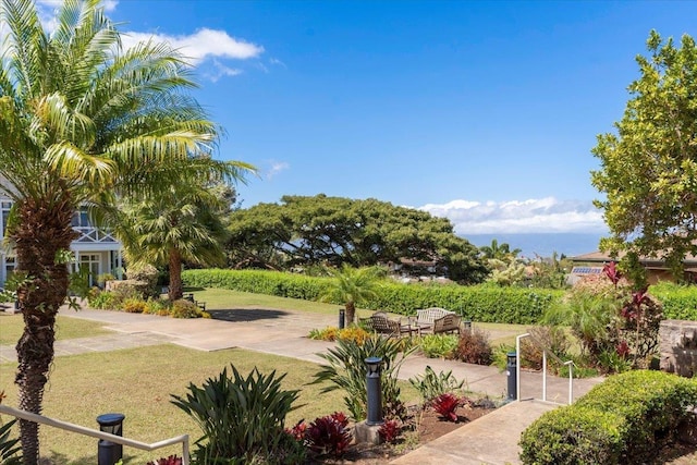 view of property's community featuring a lawn