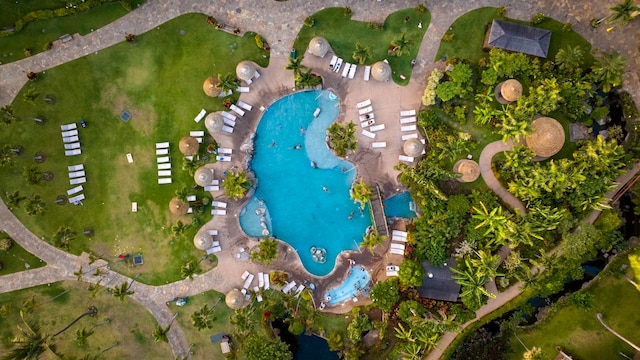 aerial view