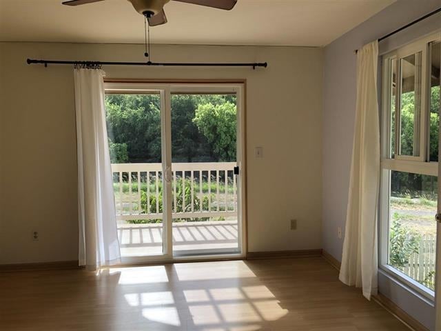 doorway with ceiling fan and light wood-type flooring