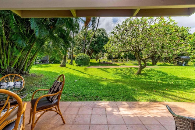 view of yard with a patio area