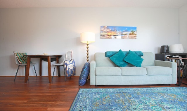 living room with dark hardwood / wood-style flooring