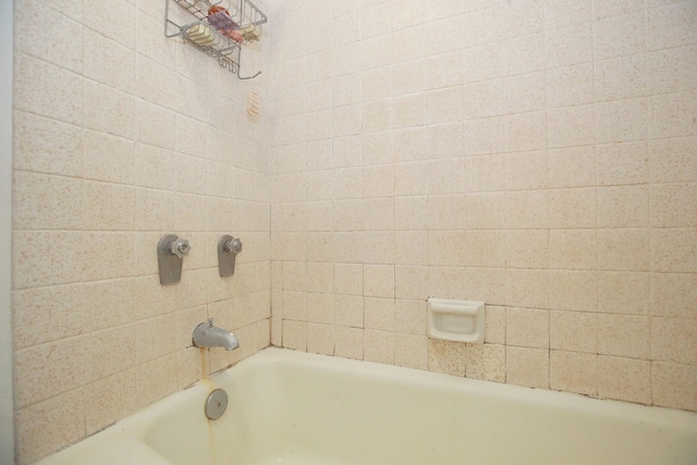 bathroom featuring a bathtub