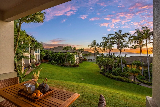 view of yard at dusk