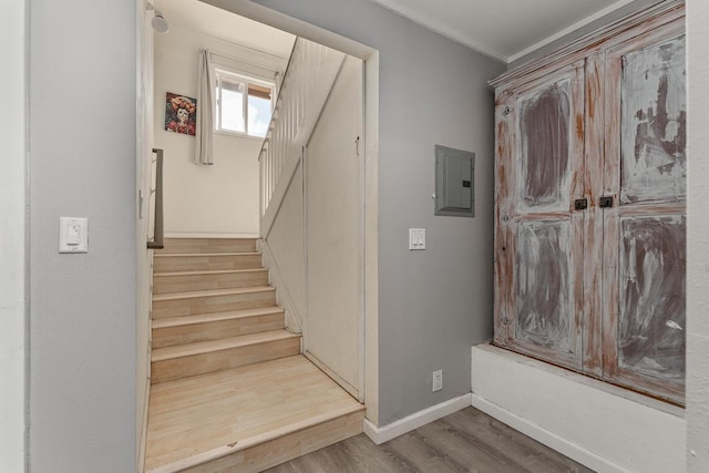 stairs featuring hardwood / wood-style flooring and electric panel