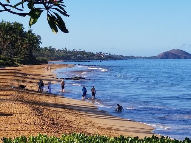 2737 S Kihei Rd Unit 311, Kihei, HI 96753 - dock area featuring a water view