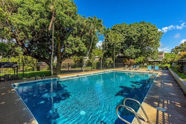 view of swimming pool with a patio