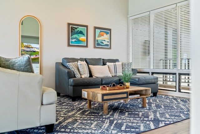 living room featuring hardwood / wood-style flooring