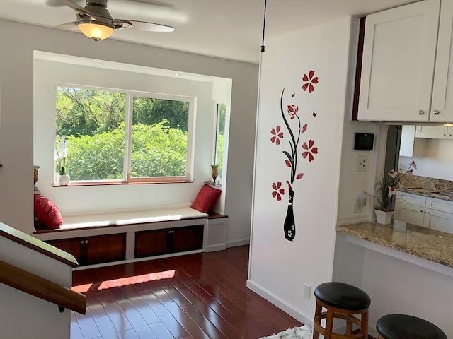 interior space featuring dark hardwood / wood-style flooring and ceiling fan