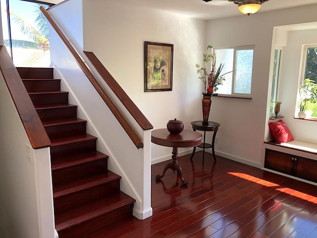 staircase featuring hardwood / wood-style floors