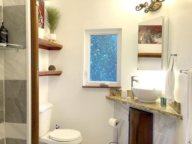 bathroom with vanity and toilet