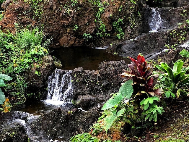 view of local wilderness