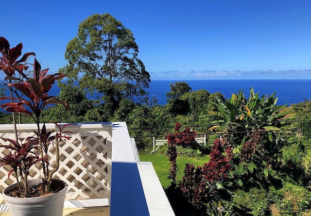 view of home's community with a water view