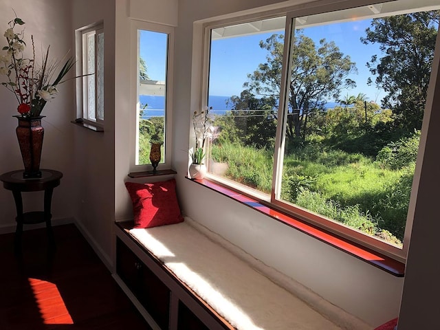 living area featuring a water view