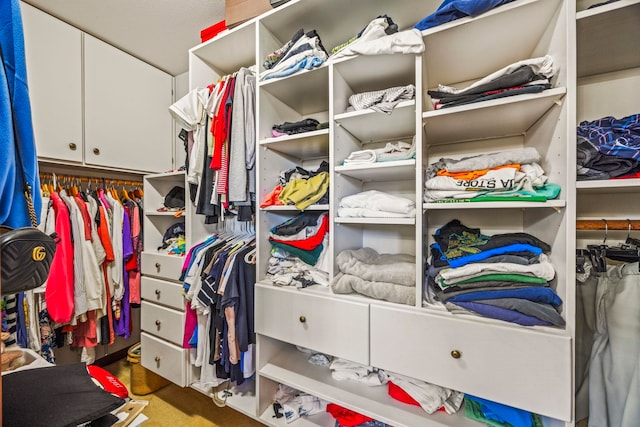 view of spacious closet