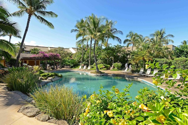 view of swimming pool