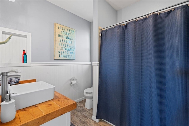 bathroom with toilet, a wainscoted wall, a sink, and wood finished floors