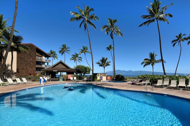 view of pool with a mountain view and a patio