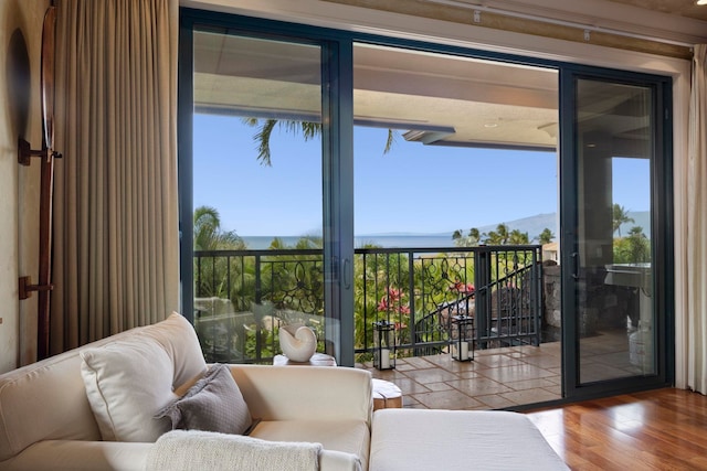 doorway to outside featuring hardwood / wood-style flooring