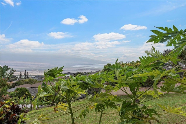 view of local wilderness with a water and mountain view