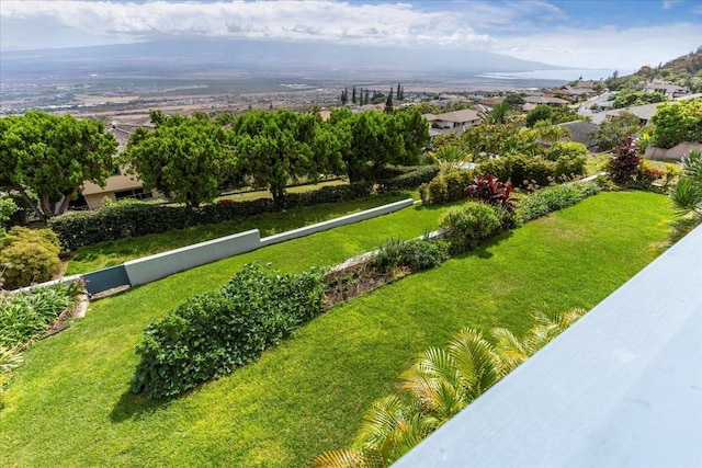 view of property's community featuring a mountain view and a yard