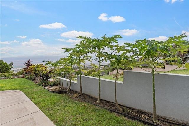 view of yard with a water view