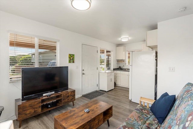 living room featuring a healthy amount of sunlight and dark hardwood / wood-style floors