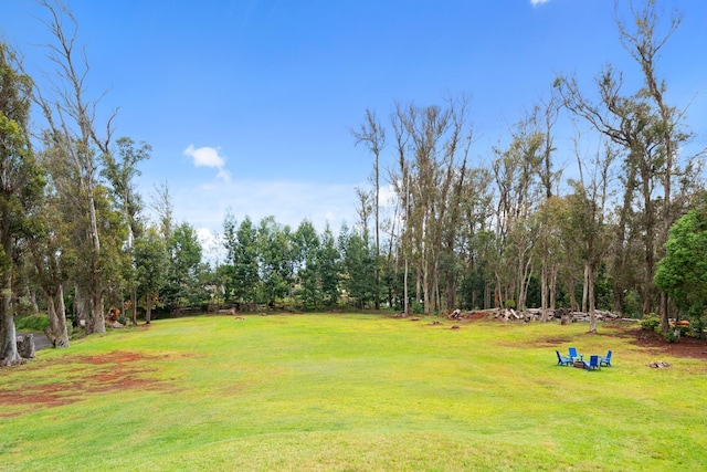 1733 Piiholo Rd, Makawao, HI 96768 - view of green lawn