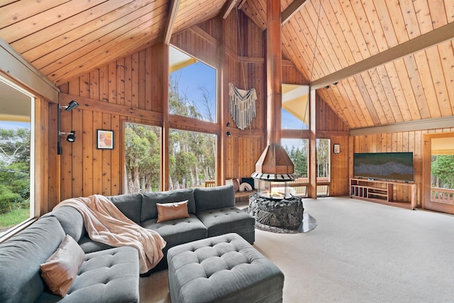 1733 Piiholo Rd, Makawao, HI 96768 - carpeted living room with wooden walls and wooden ceiling