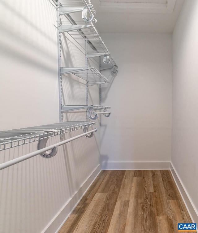 walk in closet with hardwood / wood-style floors