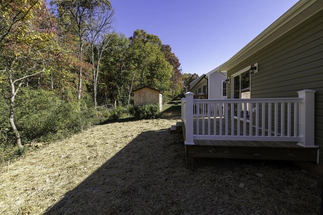 view of yard featuring a storage shed