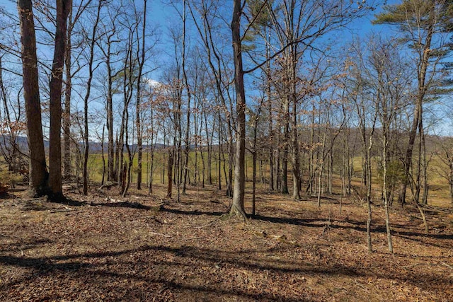 Listing photo 2 for TBD Hollow Rd, Fulks Run VA 22830